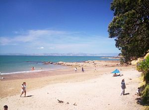 Image of tawhitikinofeb07bcoromandelpolarised.jpg