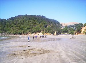 Image of tawhitikinofeb07cfirstbay.jpg