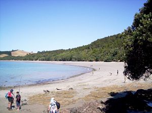 Image of tawhitikinofeb07dstartofbeach.jpg
