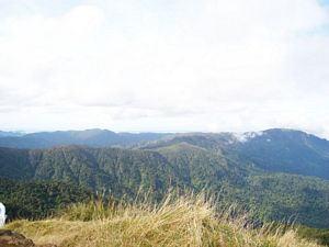 Image of teaorhamay07a.jpg