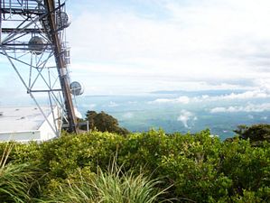 Image of teaorhamay07b.jpg