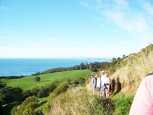 Image of teaorhamay07h.jpg