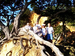 Image of teaorhamay07k.jpg