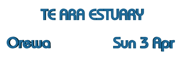 Image of tearaestuary16.gif