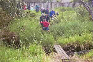 Image of teatatuboggyq.jpg