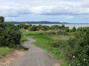 Image of teatatudec09bkview.jpg