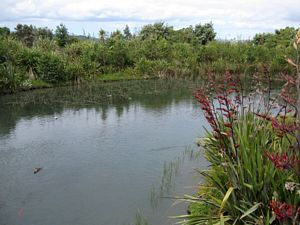 Image of teatatudec09cabridgulator.jpg