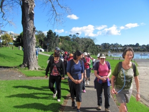 Image of teatatusep14(1).jpg