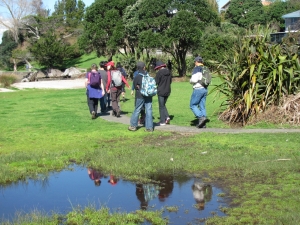 Image of teatatusep14(3).jpg