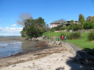 Image of teatatusep14(4).jpg