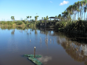 Image of teatatusep14(6).jpg