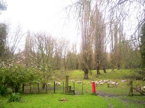 Image of tekuiti05brookpark2.jpg