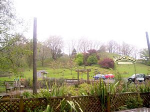 Image of tekuiti05brookpark5.jpg