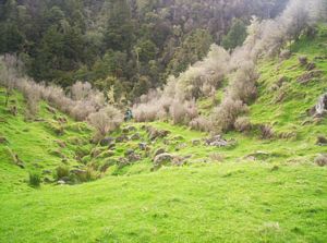 Image of tekuiti05satafterdevotions.jpg