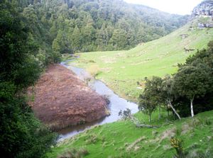 Image of tekuiti05satbeforelastchallenge.jpg