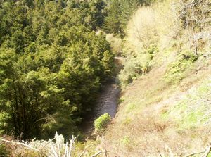 Image of tekuiti05satbeforequarry2.jpg