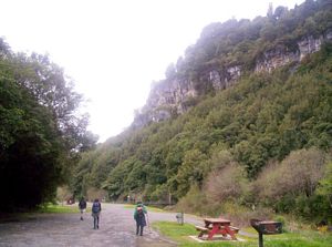 Image of tekuiti05satfinish.jpg