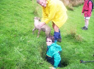 Image of tekuiti05satlambstuckinhole.jpg