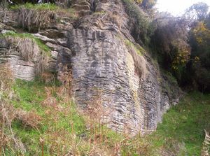 Image of tekuiti05satlimestonebluffs2.jpg