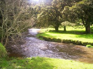 Image of tekuiti05satlunch4.jpg