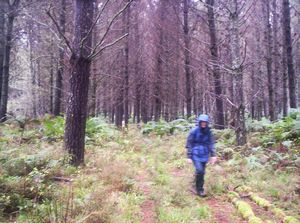 Image of tekuiti05satstartplantation2.jpg