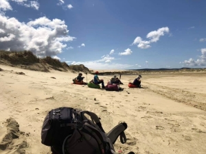 Image of tepakioct18a.jpg