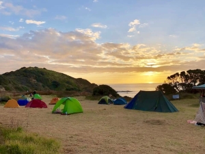 Image of tepakioct18eullaulla.jpg