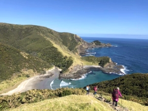 Image of tepakioct18i.jpg