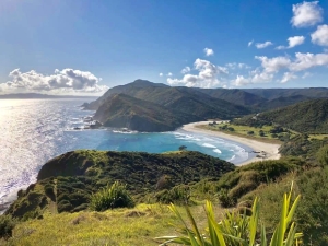 Image of tepakioct18j.jpg