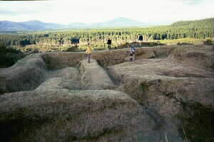 Image of teporereredoubtq.jpg