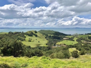 Image of teraupuririoct18b.jpg