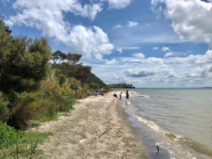 Image of teraupuririoct18c.jpg