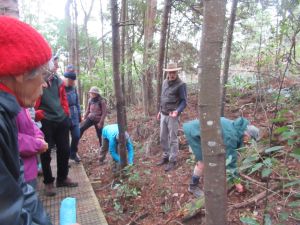 Image of thamesjun22d.jpg