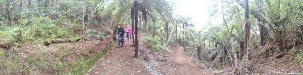 Image of thamesjun22r.jpg