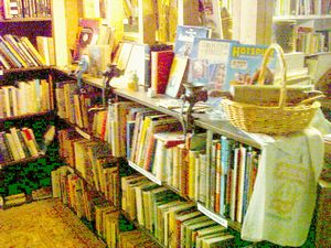 Image of tirau04antiqueshop.jpg