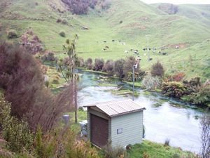 Image of tirautewaihou04belowbluespring.jpg