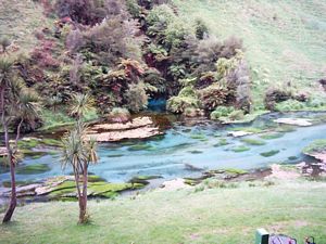 Image of tirautewaihou04bluespring3.jpg