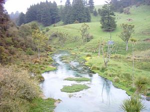 Image of tirautewaihou04firstglimpsestream.jpg