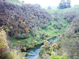 Image of tirautewaihou04gorge.jpg