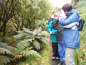 Image of tirautewaihou04ontrack.jpg