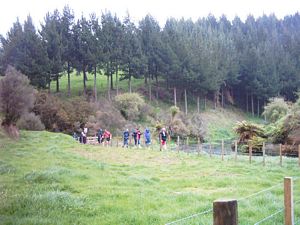 Image of tirautewaihou04ontrack2.jpg