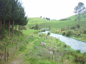 Image of tirautewaihou04ontrack4.jpg