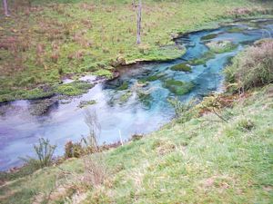Image of tirautewaihou04stream.jpg