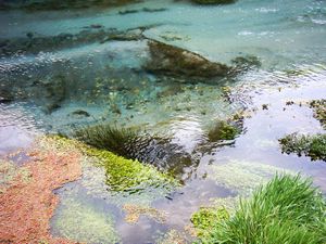 Image of tirautewaihou04stream2.jpg