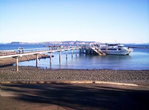 Image of tiritirimatangi05arrival.jpg