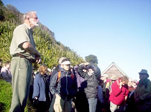 Image of tiritirimatangi05brief.jpg