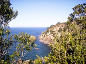 Image of tiritirimatangi05eastcoast2.jpg