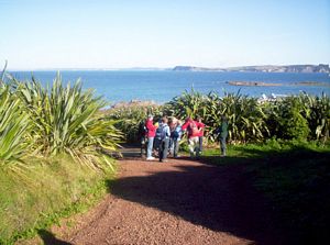 Image of tiritirimatangi05guidedwalk1.jpg