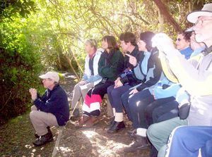 Image of tiritirimatangi05guidedwalk4.jpg
