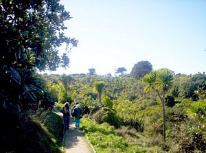 Image of tiritirimatangi05guidedwalk5.jpg